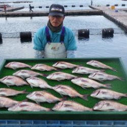 淡路じゃのひれフィッシングパーク 釣果