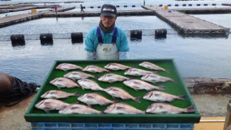 淡路じゃのひれフィッシングパーク 釣果