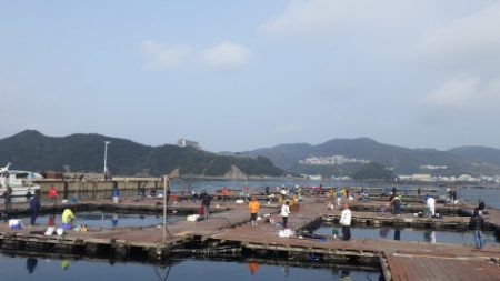 淡路じゃのひれフィッシングパーク 釣果