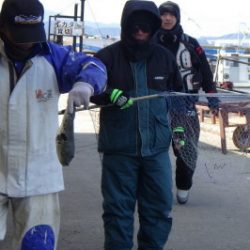 淡路じゃのひれフィッシングパーク 釣果