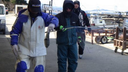 淡路じゃのひれフィッシングパーク 釣果