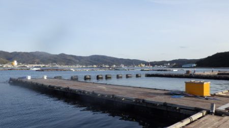 淡路じゃのひれフィッシングパーク 釣果