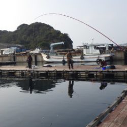 淡路じゃのひれフィッシングパーク 釣果
