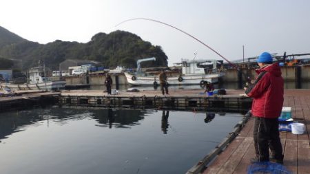淡路じゃのひれフィッシングパーク 釣果
