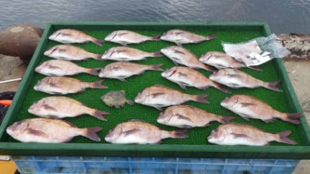 淡路じゃのひれフィッシングパーク 釣果