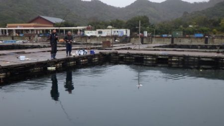 淡路じゃのひれフィッシングパーク 釣果