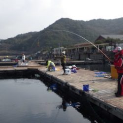 淡路じゃのひれフィッシングパーク 釣果