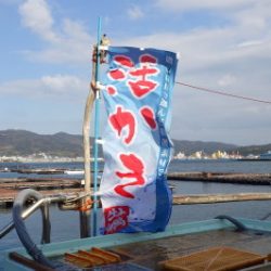 淡路じゃのひれフィッシングパーク 釣果