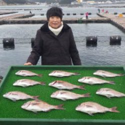 淡路じゃのひれフィッシングパーク 釣果