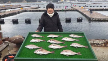 淡路じゃのひれフィッシングパーク 釣果