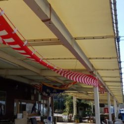 淡路じゃのひれフィッシングパーク 釣果