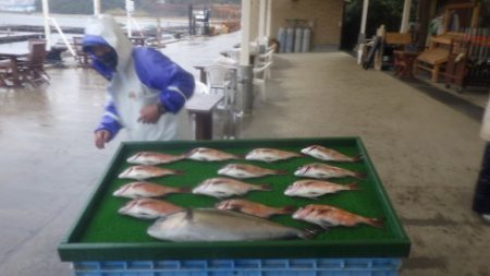 淡路じゃのひれフィッシングパーク 釣果