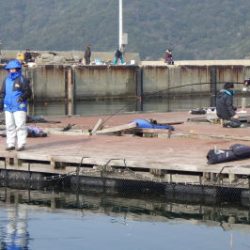 淡路じゃのひれフィッシングパーク 釣果