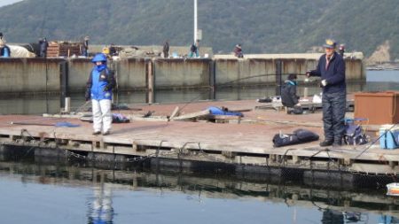 淡路じゃのひれフィッシングパーク 釣果
