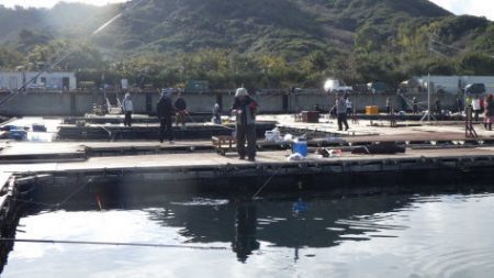 淡路じゃのひれフィッシングパーク 釣果