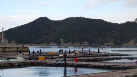 淡路じゃのひれフィッシングパーク 釣果