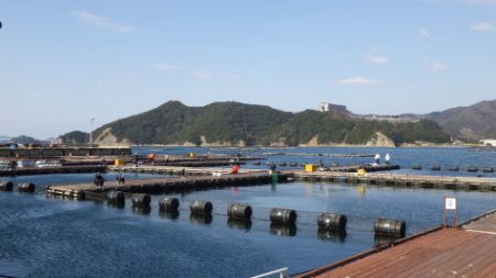 淡路じゃのひれフィッシングパーク 釣果