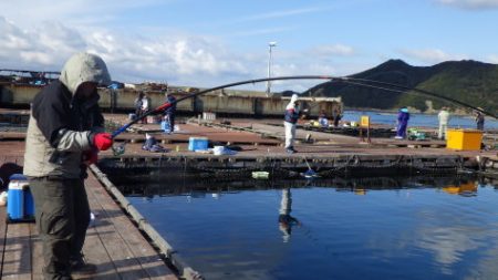 淡路じゃのひれフィッシングパーク 釣果