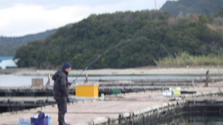 淡路じゃのひれフィッシングパーク 釣果
