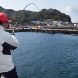淡路じゃのひれフィッシングパーク 釣果