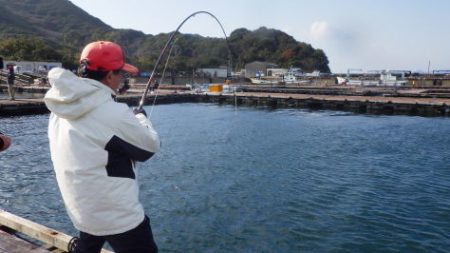 淡路じゃのひれフィッシングパーク 釣果