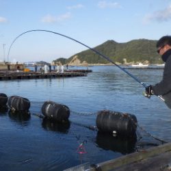 淡路じゃのひれフィッシングパーク 釣果