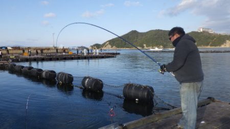 淡路じゃのひれフィッシングパーク 釣果