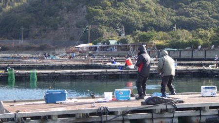 淡路じゃのひれフィッシングパーク 釣果