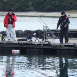 淡路じゃのひれフィッシングパーク 釣果