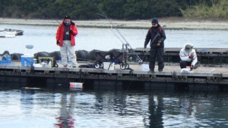 淡路じゃのひれフィッシングパーク 釣果