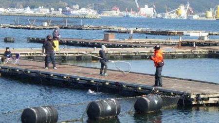 淡路じゃのひれフィッシングパーク 釣果