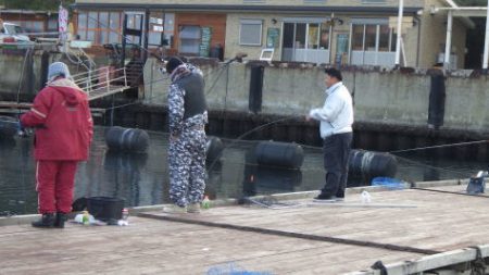 淡路じゃのひれフィッシングパーク 釣果