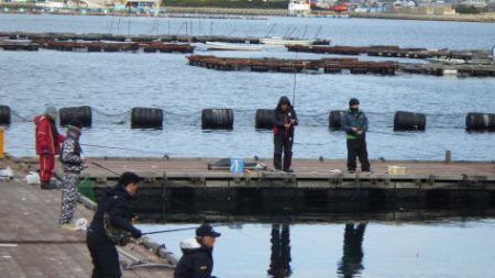 淡路じゃのひれフィッシングパーク 釣果