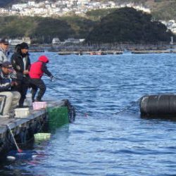 淡路じゃのひれフィッシングパーク 釣果