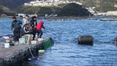 淡路じゃのひれフィッシングパーク 釣果