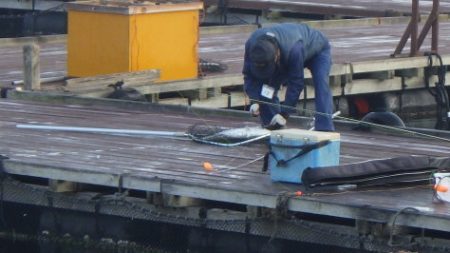 淡路じゃのひれフィッシングパーク 釣果