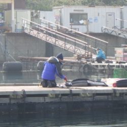 淡路じゃのひれフィッシングパーク 釣果