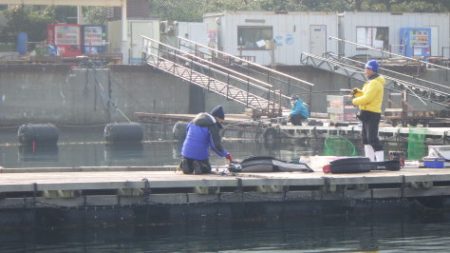 淡路じゃのひれフィッシングパーク 釣果