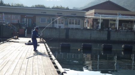 淡路じゃのひれフィッシングパーク 釣果