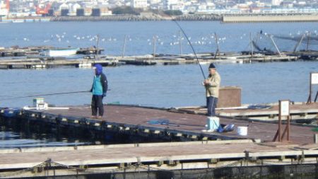 淡路じゃのひれフィッシングパーク 釣果