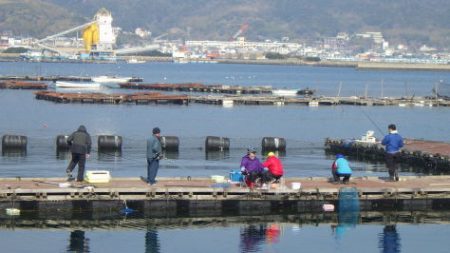 淡路じゃのひれフィッシングパーク 釣果