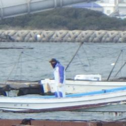 淡路じゃのひれフィッシングパーク 釣果