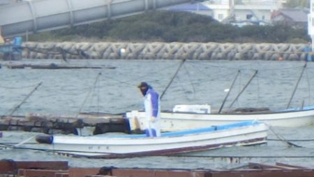 淡路じゃのひれフィッシングパーク 釣果