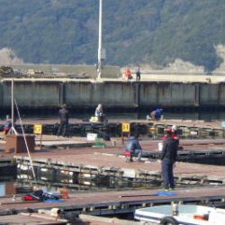 淡路じゃのひれフィッシングパーク 釣果