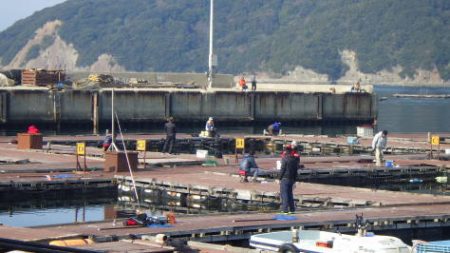 淡路じゃのひれフィッシングパーク 釣果