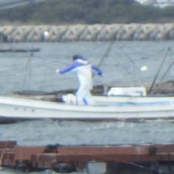 淡路じゃのひれフィッシングパーク 釣果