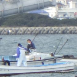 淡路じゃのひれフィッシングパーク 釣果