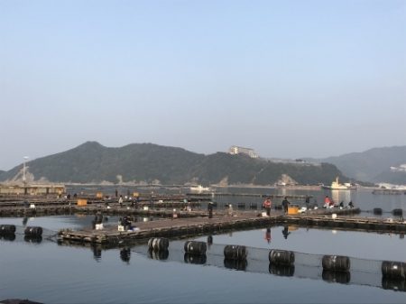 淡路じゃのひれフィッシングパーク 釣果