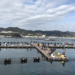 淡路じゃのひれフィッシングパーク 釣果