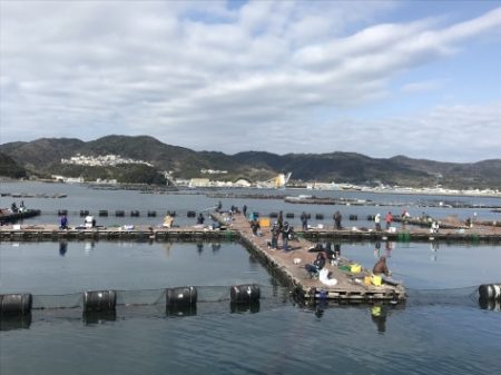 淡路じゃのひれフィッシングパーク 釣果